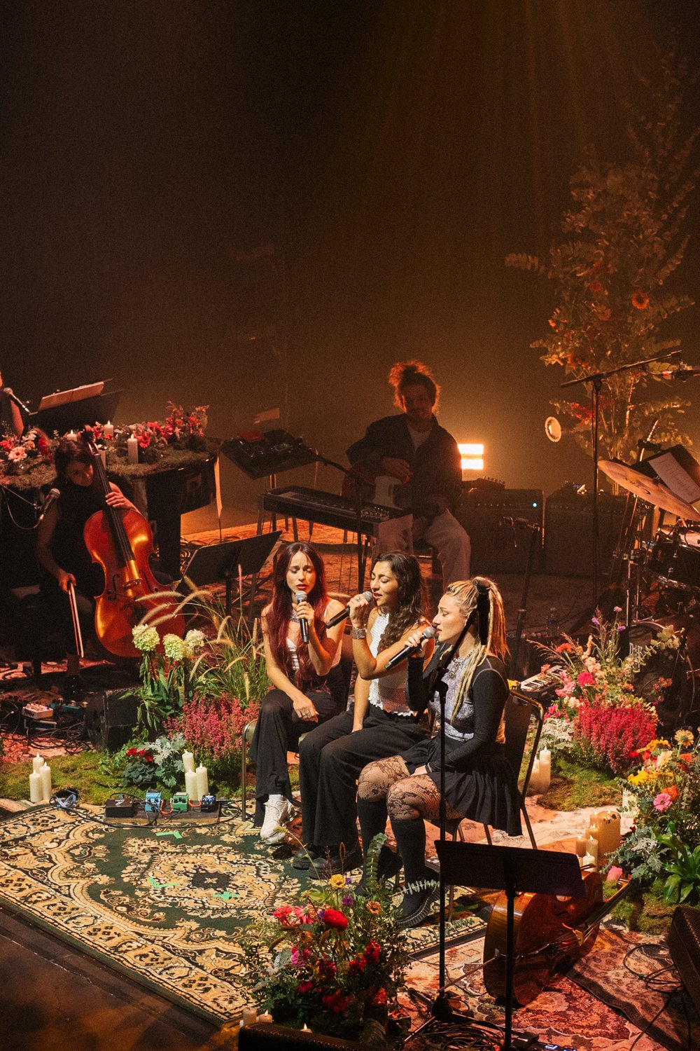 OLITAX_WAXX_OLYMPIA_OCTOBRE25