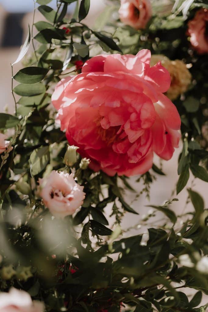 Pivoine - Fleuriste Mariage_Ile de France_Photo Lika and Banshoya